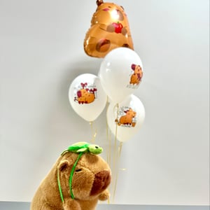 Игрушка Капибара и 5 Шаров