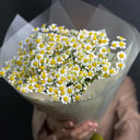 Букет «Ромашки Матрикария»