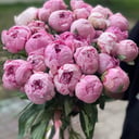 Букет «Шекспир» из пионов