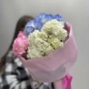 Букет «Гортензия в плёнке 3 шт»