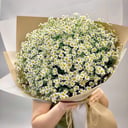 Букет «Нежные ромашки»