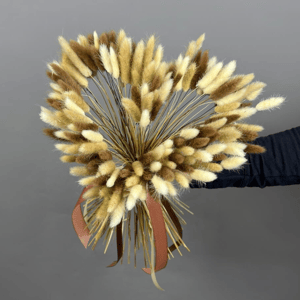 Сердце из лагуруса Капучино