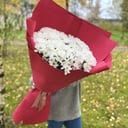 Букет-гигант из кустовых хризантем