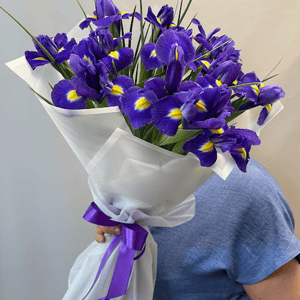 Моно букет из 13 ирисов