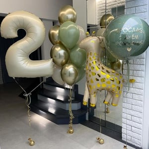 Сет шаров Жираф