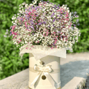 Гипсофила в шляпной коробке