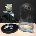 Роза стабилизированная светло зелёная