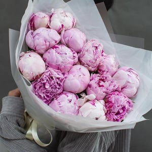 Букет из пионов 15 шт.