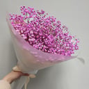 Букет из 5 гипсофил