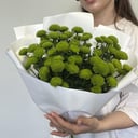 Букет «Зеленая кустовая хризантема 9шт в упаков»