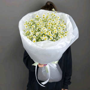 Монобукет из ромашек в дизайнерской упаковке