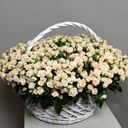 101 белая роза в корзине