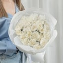 Букет из кремовых гвоздик (25 шт)