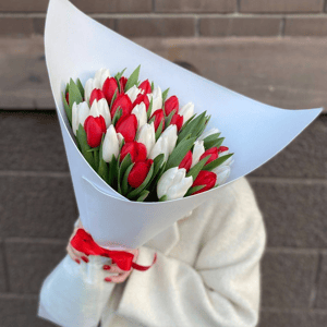 Букет из красно белых тюльпанов