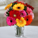 15 Gerberas