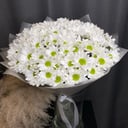 Букет ромашковых хризантем