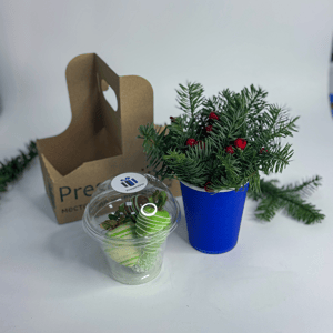 Клубника в шоколаде и нобилис