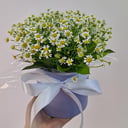 Шляпная коробка с матрикарией