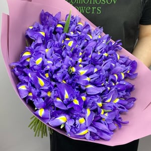 Букет из 49 изысканных ирисов