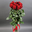 Букет из роз эквадор 11 шт