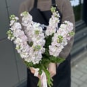 Букет «Лорис» из экзотических цветов