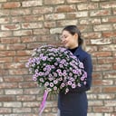 Букет «Хризантема кустовая лавандовая»