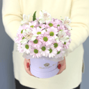 Шляпная коробка с цветами «Композиция Хризантем и Альстромерий»