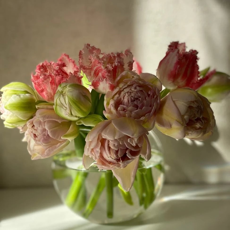 Fresh flowers New Jersey