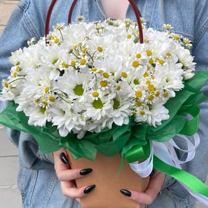 Коробка с цветами «Сумочка ромашки с хризантемой»