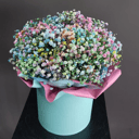 Гипсофила в шляпной коробке 2