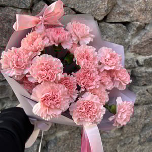 Букет из 17 диантусов из гвоздик