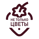 Не только цветы