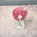 Стабилизированный мох