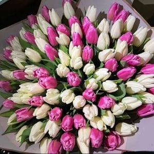 Букет «151 тюльпан»