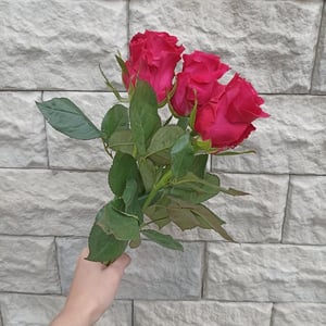 Букет «7 красных роз»