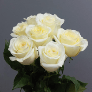 Букет из белых роз