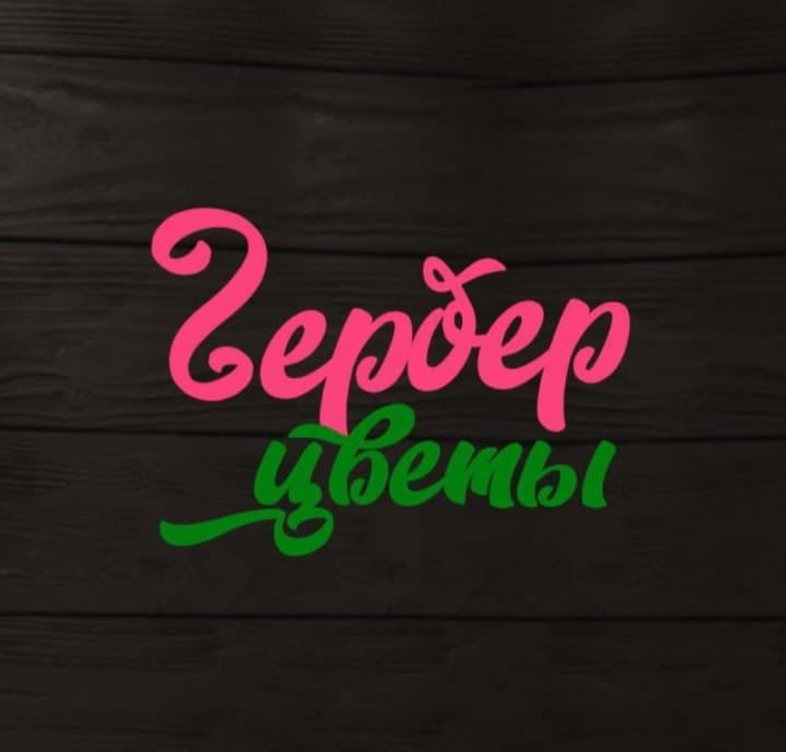 Гербер Цветы
