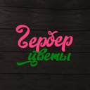 Гербер Цветы