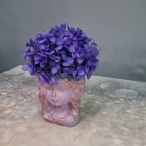 Композиция из стабилизированных цветов