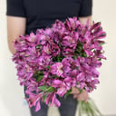 Букет «Твоя нежность» из альстромерий