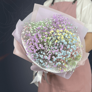 Букет из 5 радужных гипсофил