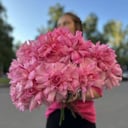 Букет из французской розы