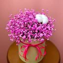 Гипсофила в шляпной коробке