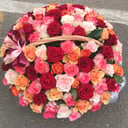 101 роза в корзине