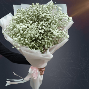 Букет из 9 белых гипсофил