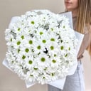 Букет хризантема ромашка 15 шт.