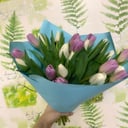 Букет «Микс» из тюльпанов