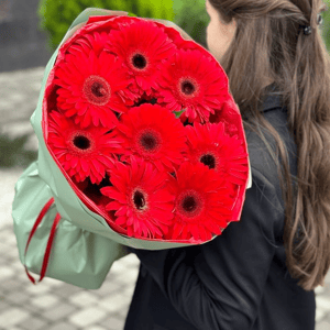 Букет из гербер "Красный бархат"