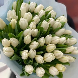 Букет «51 нежный белый тюльпан»