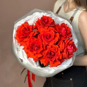Монобукет алых французских роз (251)